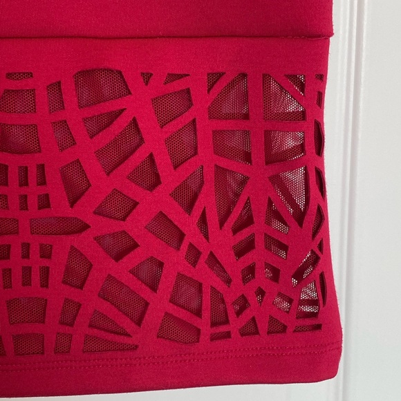 Thalia Sodi Deep Rose Red Skirt with Windowpane & Mesh Detail at Bottom - Picture 4 of 10